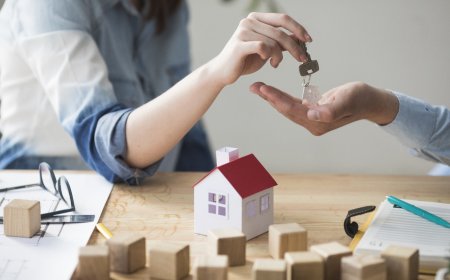 Comprehensive Insurance Coverage for Homes and Businesses: A Complete Guide